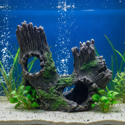 Aquarium decoration with moss and natural textures