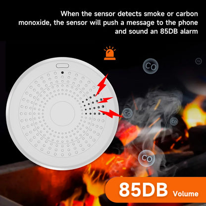 2-in-1 WiFi Smart CO & Smoke Detector Alarm – Home Safety Protection