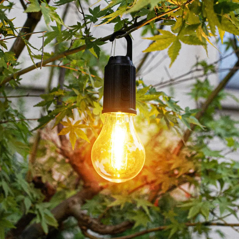 LED Hanging Lanterns